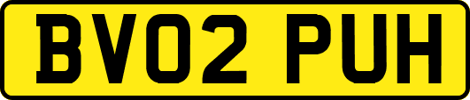 BV02PUH