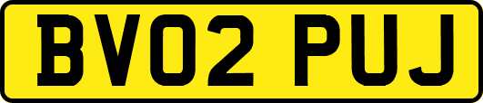 BV02PUJ