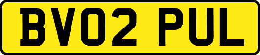 BV02PUL