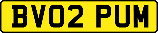 BV02PUM