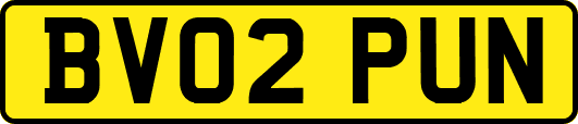 BV02PUN
