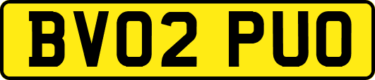 BV02PUO