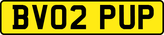 BV02PUP