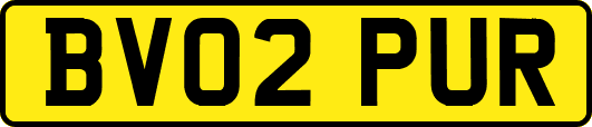 BV02PUR
