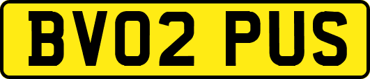 BV02PUS