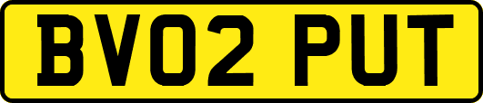 BV02PUT