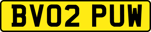BV02PUW