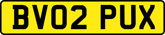 BV02PUX