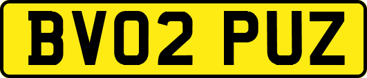 BV02PUZ