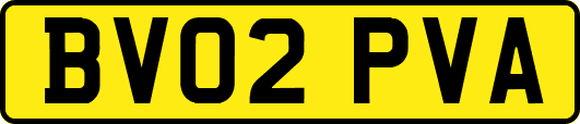 BV02PVA
