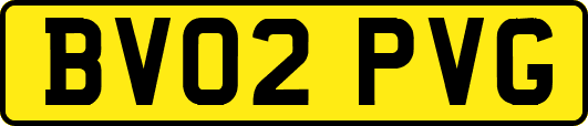 BV02PVG