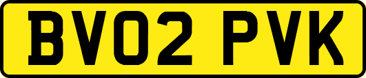 BV02PVK