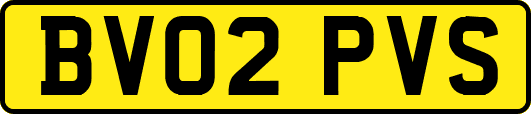 BV02PVS
