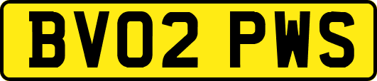 BV02PWS