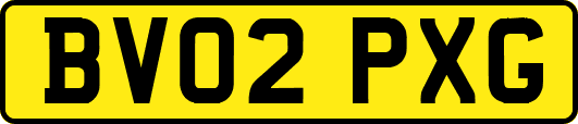 BV02PXG