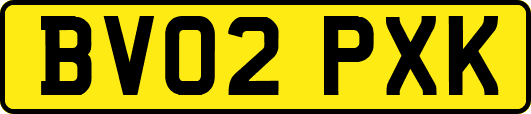 BV02PXK