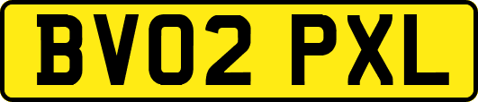 BV02PXL