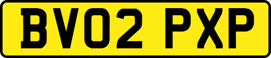 BV02PXP