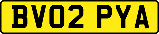 BV02PYA