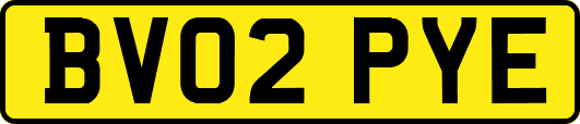 BV02PYE