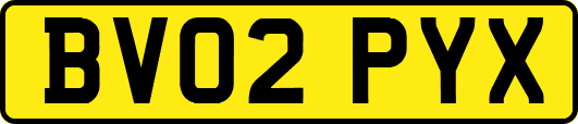 BV02PYX