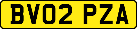 BV02PZA