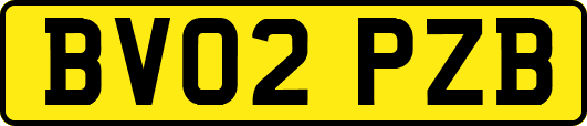 BV02PZB
