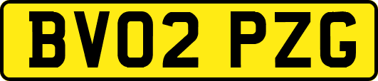 BV02PZG