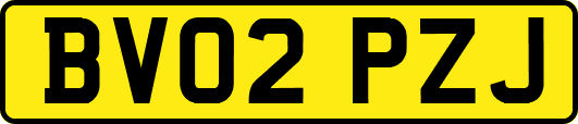 BV02PZJ