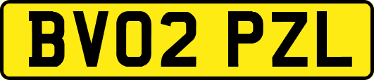 BV02PZL