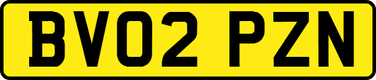 BV02PZN