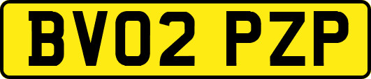 BV02PZP