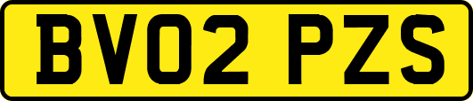 BV02PZS