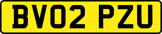 BV02PZU