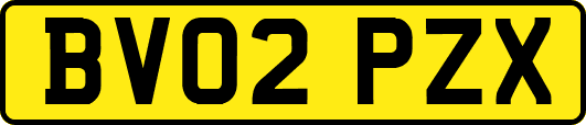 BV02PZX
