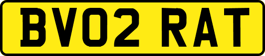 BV02RAT