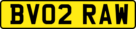 BV02RAW