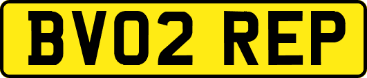 BV02REP