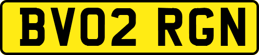 BV02RGN