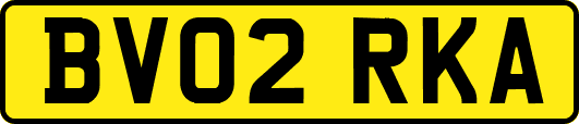 BV02RKA