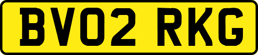 BV02RKG
