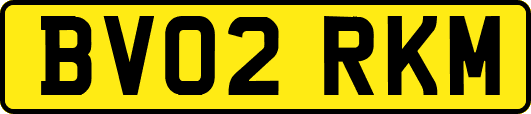 BV02RKM