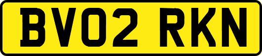 BV02RKN
