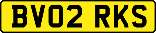 BV02RKS
