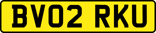 BV02RKU