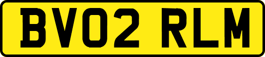 BV02RLM