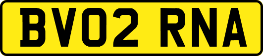 BV02RNA