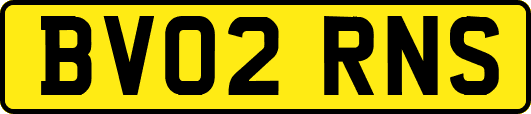 BV02RNS