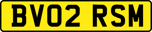 BV02RSM
