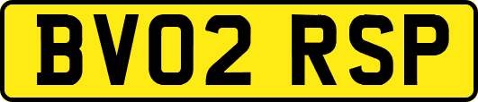 BV02RSP